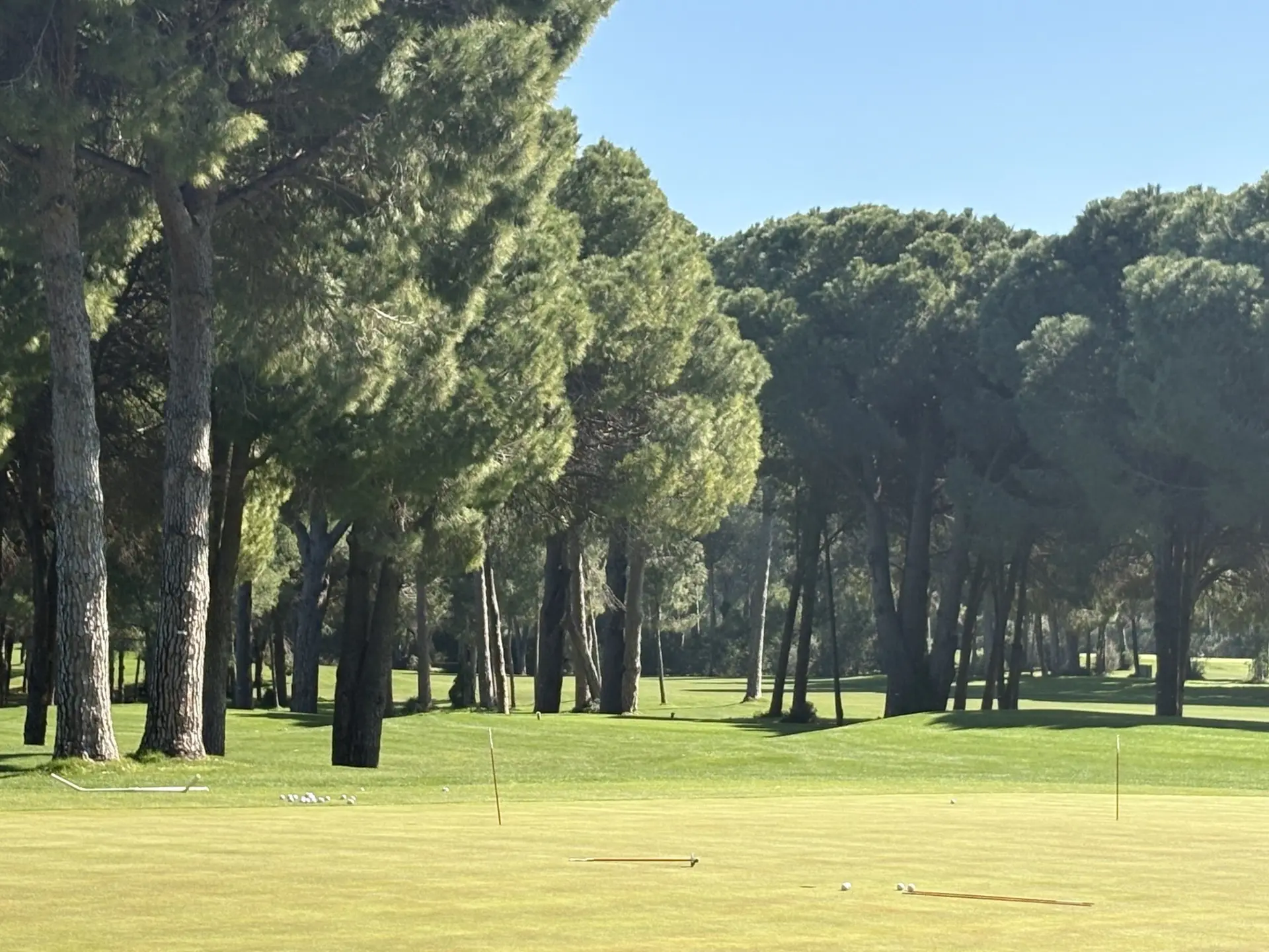 Warm weather golf school practice green and fairway